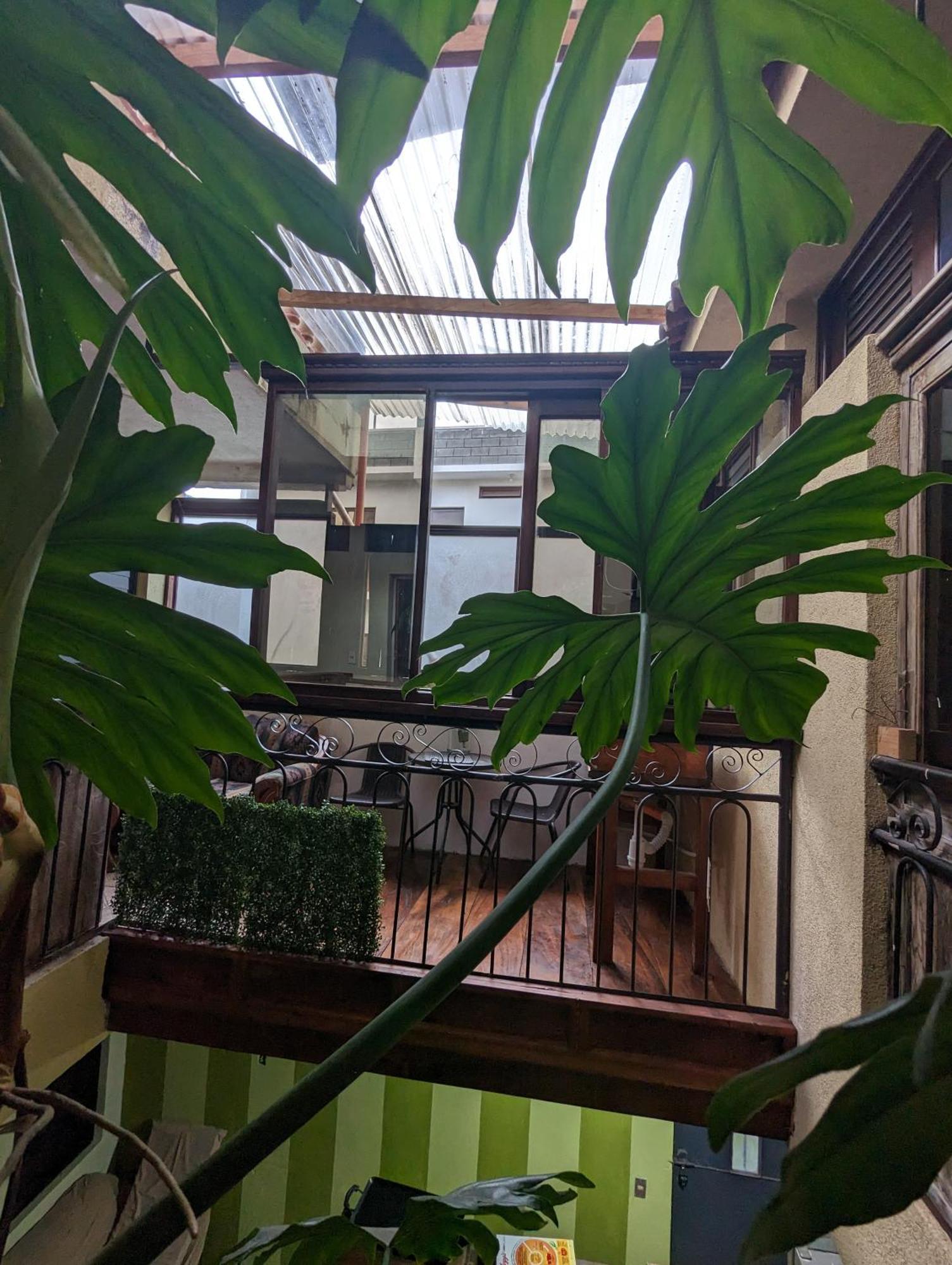 Casa Gonzalez Διαμέρισμα Santiago Atitlán Εξωτερικό φωτογραφία